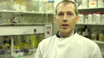 Faculty of Science and Technology 