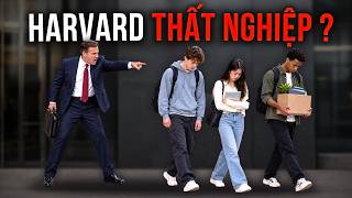 LÝ DO KHIẾN SINH VIÊN HARVARD CŨNG KHÔNG THỂ TÌM VIỆC  Guide