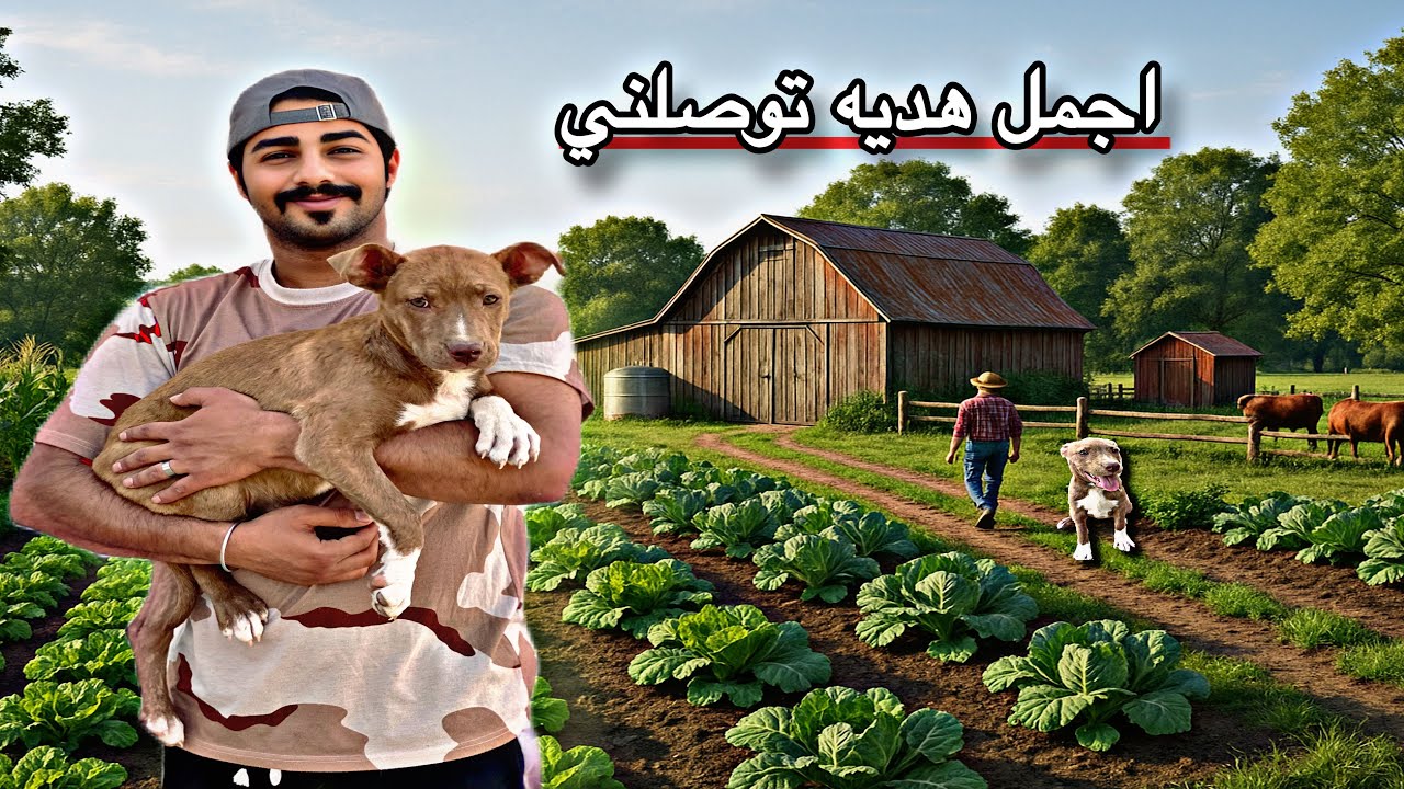 اغرب هديه توصلني كلب بتبول 🐕يحتوي علئ كيس دهني _ تحدي صيد سمك الكارب 🐟🎣