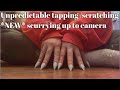 ASMR: Fast Unpredictable scurrying up to camera w floor tapping/scratching visuals