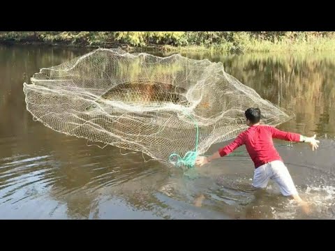 Video: Kodėl žuvis Nekanda