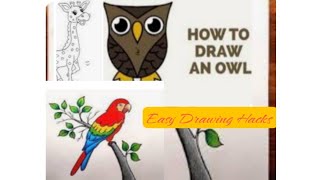 Easy Hacks to Draw Giraffe, Parrot and Owl || Lets Learn Together || Do it Yourself #diy #hacksvideo