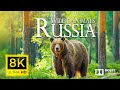 8K Wild Animals of Russia - Wonderful wildlife movie with Nature Sounds (Colorful Animal Life)