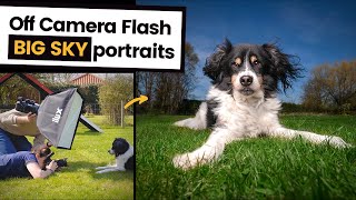 How to do Off Camera Flash Dog Photography | Mixing ambient & artificial light to get 'WOW' shots