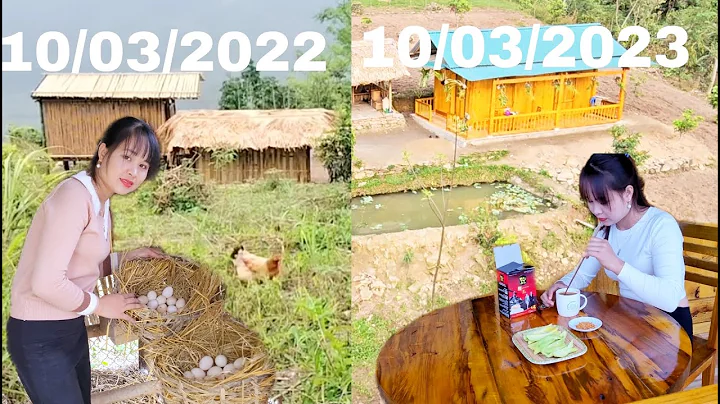 Full video a year of farm construction. From a cot...