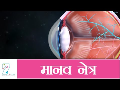 मानव नेत्र | The Human Eye | Hindi