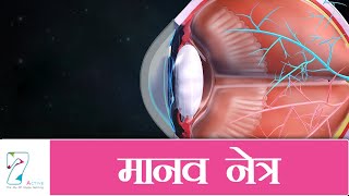 मानव नेत्र | The Human Eye | Hindi