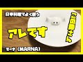 マーナ(MARNA) ブタの落としぶた買ってみたら本当に豚だった件