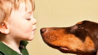 Всем собакам породы ДОБЕРМАН посвящается! Всем собакам породы ДОБЕРМАН посвящается!