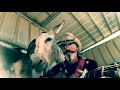 Hazel the Donkey Wants to go to Space with the Rocket Man. Donkey Loves Classic Rock music