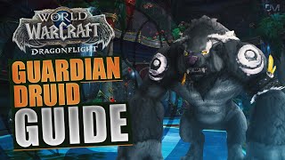 Dragonflight Guardian Druid Guide