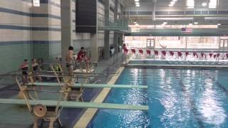 303B Reverse 1.5 Somersault Pike DD 2.4
