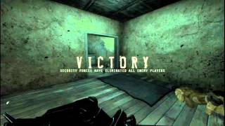 Insurgency Kills Compilation