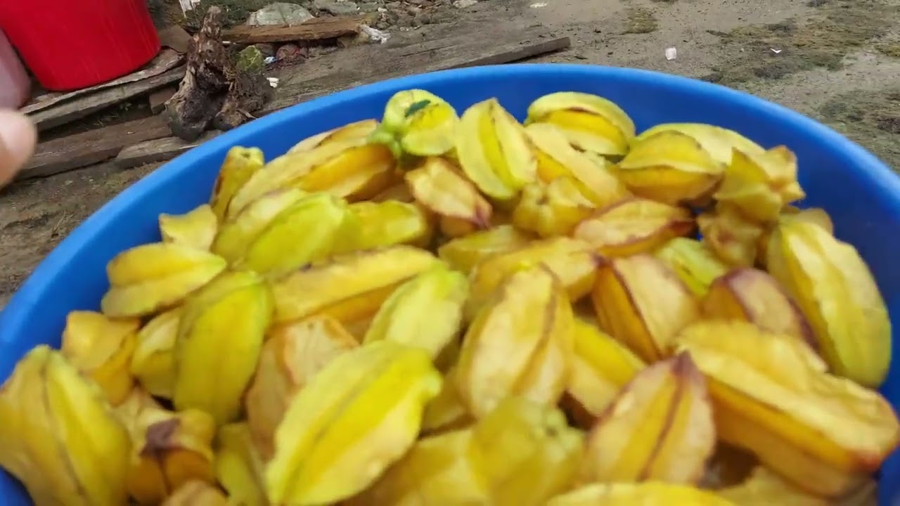 Pangstem,mongdohnud,shongmaw,pangat,setpynjhieh,pangkhylai,suh,Stem ka dur baroh shirynieng Sabuit.