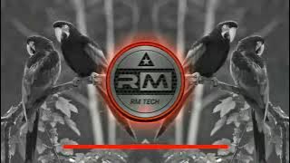 Navadyal Maina Gondi Song Tapori Dj Mix Song By Dj Chintaman Meshram Rajegaon #djrmtech