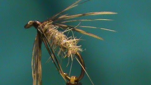 Beginner Fly Tying a Hen and Hare Soft Hackle with Jim Misiura