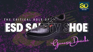 The Critical Role of ESD Safety Shoe - Genesis Daiichi