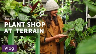 TERRAIN's New Plant Store — Vlog 058 by Summer Rayne Oakes 26,026 views 5 months ago 11 minutes, 34 seconds
