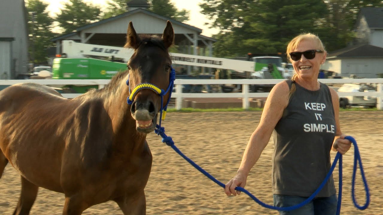 SILVER SPURS   KENTUCKY HORSE PARK