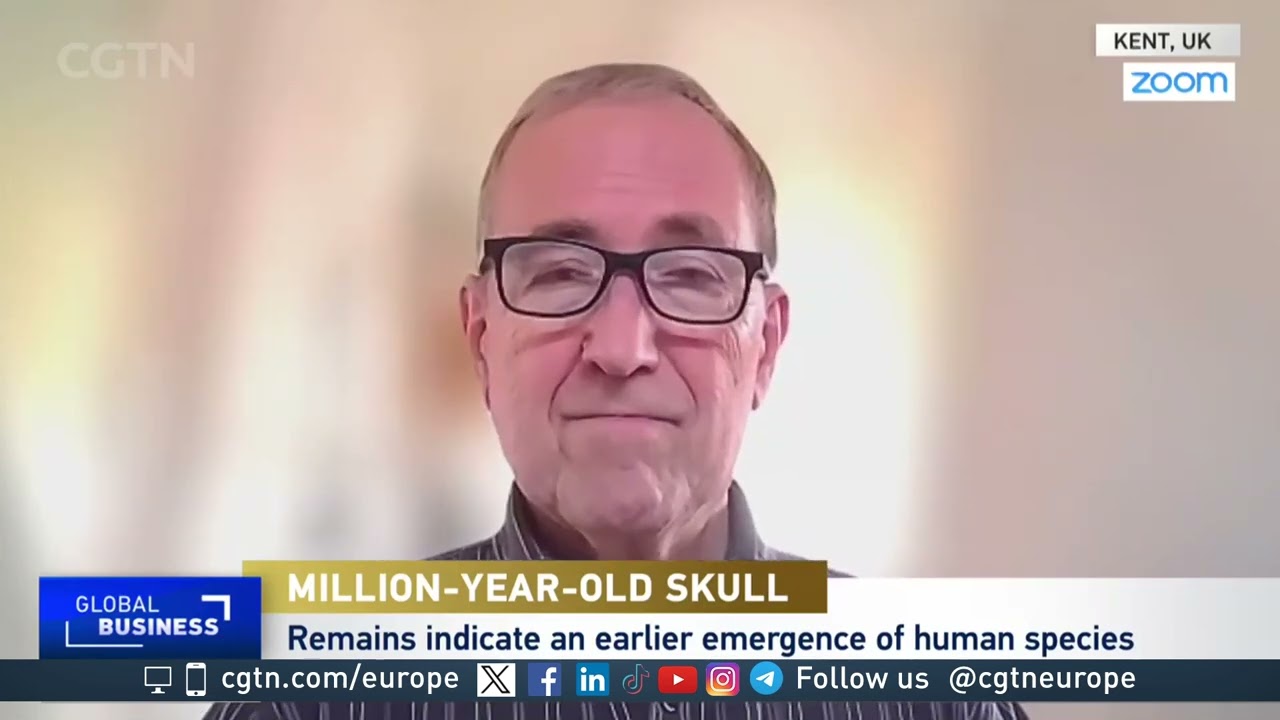 Did a Million-Year-Old Skull Rewrite Human Evolution's History?