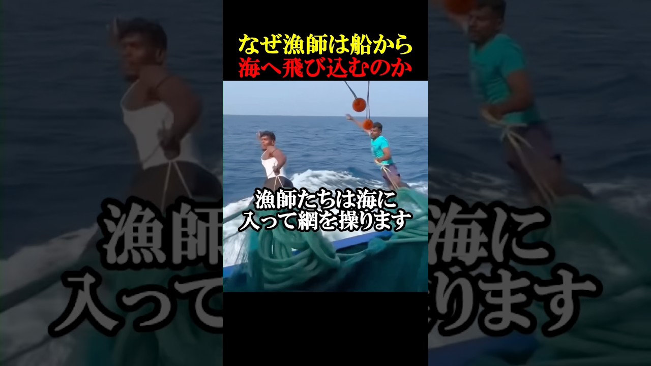 なぜ漁師は船から海に飛び込むのか