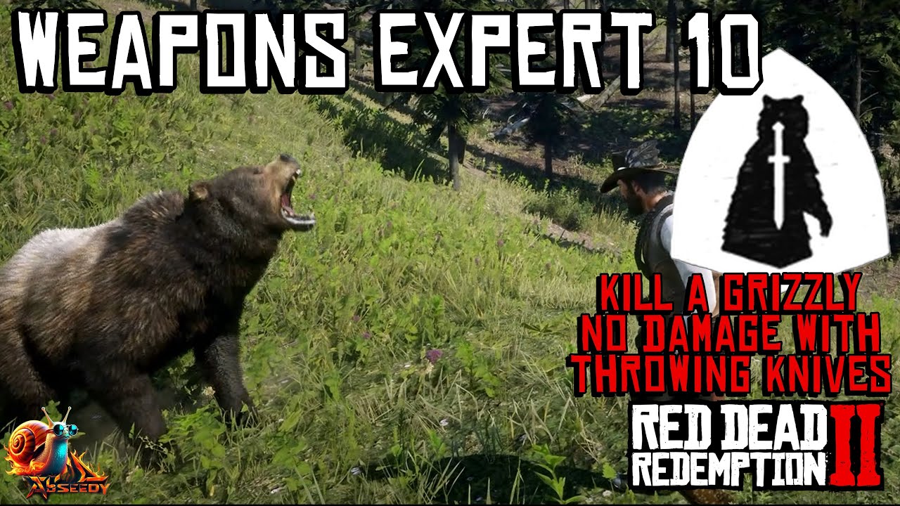 Weapons Expert 10 [Challenge] - Red Dead Redemption 2 - YouTube