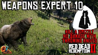Weapons Expert 10 [Challenge] - Red Dead Redemption 2