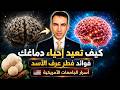 تقوية الذاكرة والحماية من الزهايمر وبدون أعشاب ولا مكملات غذائية الطب الحقيقي صل ح دماغك 