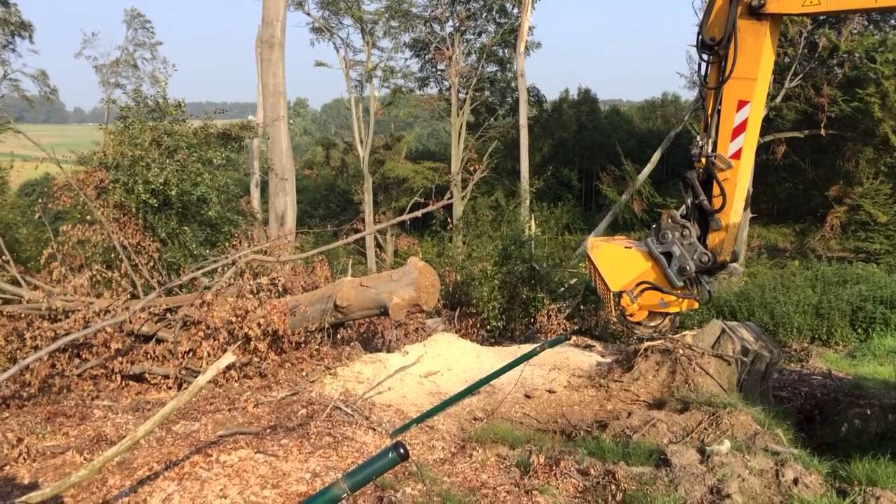 Liebherr A 314 und Stubbenfräse von Hemos. Firma Hullmann ...