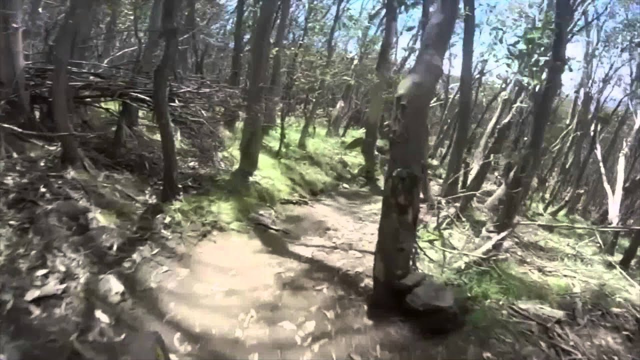 Buller VDHS track preview - Round 3