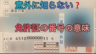 免許証 Youtube 免許証 Youtube