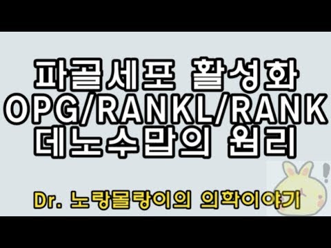 파골세포의 활성화: RANK/RANKL/OPG system, Denosumab(데노수맙)의 기전