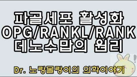 파골세포의 활성화: RANK/RANKL/OPG system, Denosumab(데노수맙)의 기전