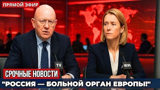СКАНДАЛ В ООН! Кая Каллас унизила Россию, но ответ Небензи перевернул зал!