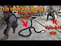 Trận Chiến Kinh Hoàng  Giữa 2 Vua Rắn | Hổ Mang Chúa Tấn Công Ông Lão 80 Tuổi | SBATVC