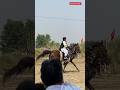 Neza Bazi of Kot beliyaan