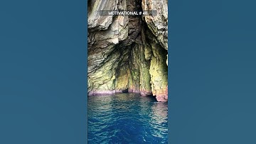 Shift Your Focus: Unleash the Power of Optimism and Transform Your Life #motivation #inspiration