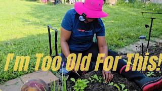 FALL Gardening in Texas Heat || Aging while growing a garden