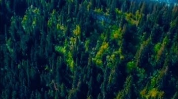 سورة النبأ من تلاوات الشيخ عصام حمود الرائعة