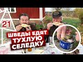 Как ПРАВИЛЬНО есть шведский деликатес - вонючий сюрстрёмминг.