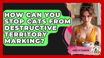 How Can You Stop Cats From Destructive Territory Marking? - Happy Cat Handbook