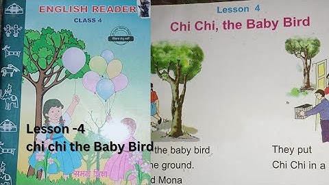 chi chi the baby bird || lesson 4 chi chi the baby bird || class 4 chi chi the Baby Bird mp board