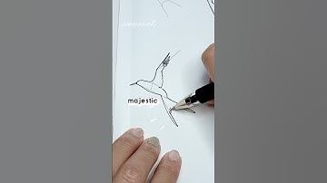 Majestic tern  #inprint #howtodraweasy #stepbystep