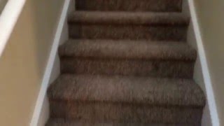 7822 Geoffrey ct Charlotte nc 28213