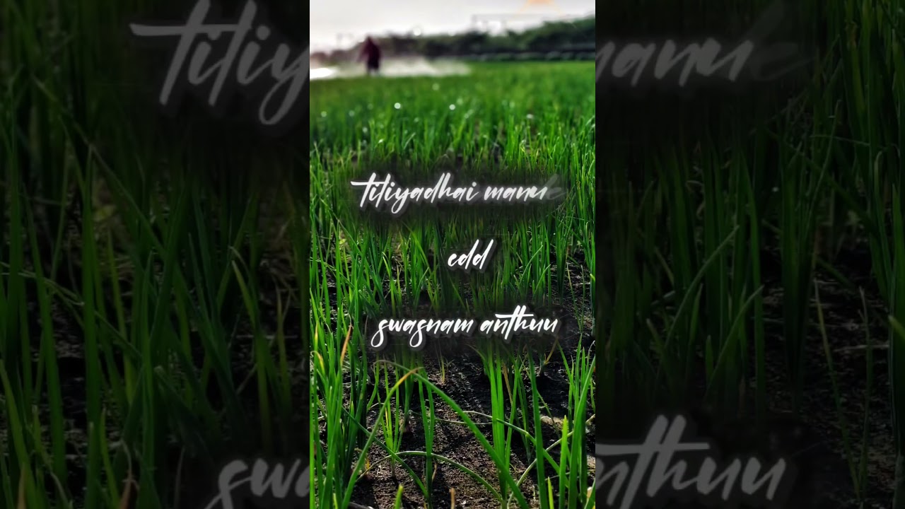 MY FIST edit So please like,👍🏻 comment share subscribe 😘😘😘😘