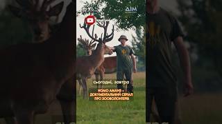 🦌