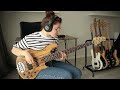 Willow  symptom of life bass cover