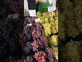 قیمت میوه در آنتالیا ترکیه زندگی در ترکیه