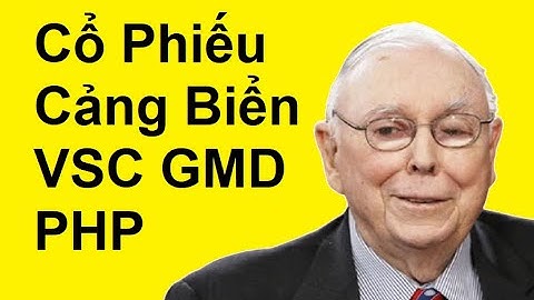 Phân Tích Cổ Phiếu Ngành Cảng Biển GMD, VSC, PHP