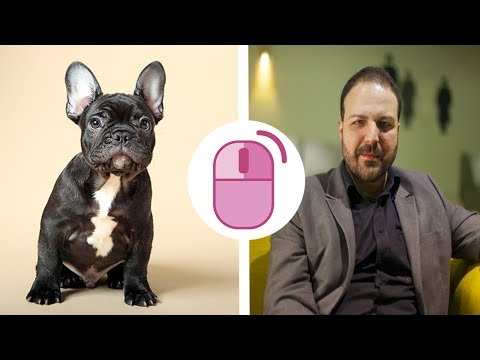Čovek-iz-siriga-putem-instagrama-prodaje-kučiće-holivudskim-glumcima-i-reperima...-istok-pavlović
